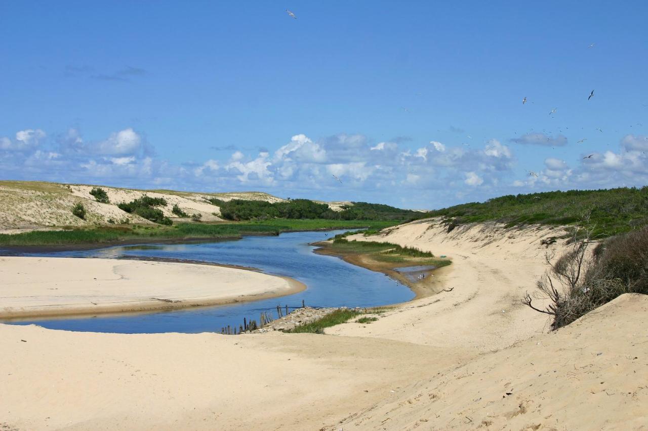 Le Boucalais, Classe 3 Etoiles, Appart T3, Lac A 200M, Ocean A 800M A Vieux-Boucau Экстерьер фото